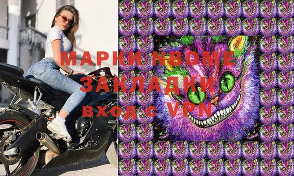 гашик Белокуриха