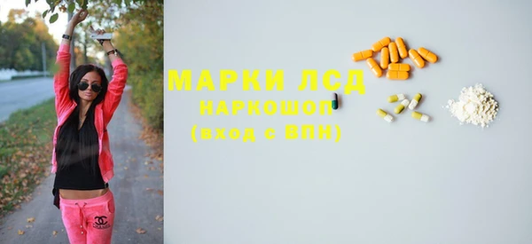 гашик Белокуриха