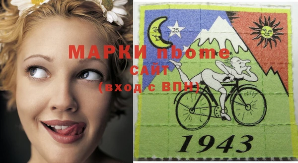 гашик Белокуриха