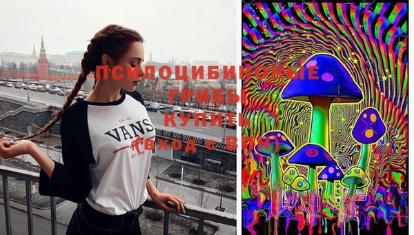 гашик Белокуриха