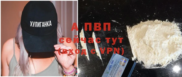 гашик Белокуриха